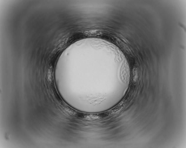 X0000096420515200802141637