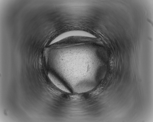 X0000096420516200802141637