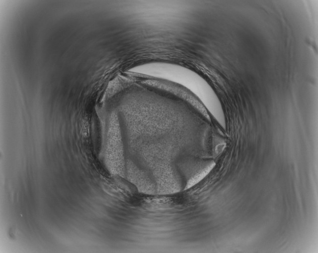 X0000096420517200802141637