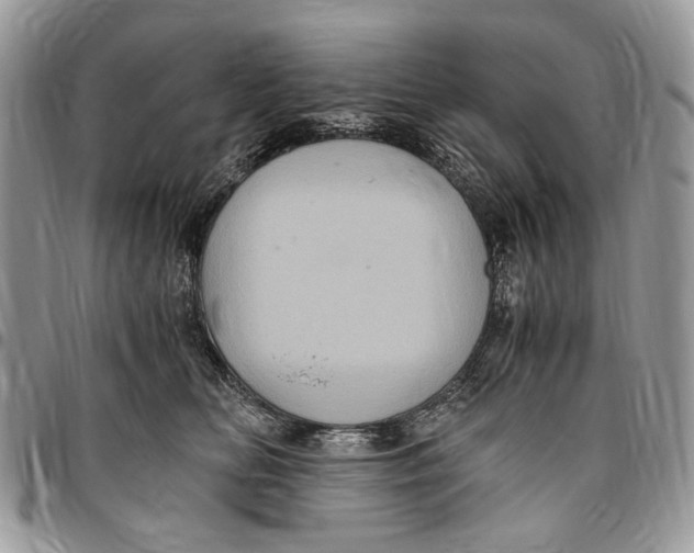 X0000096420518200802141637