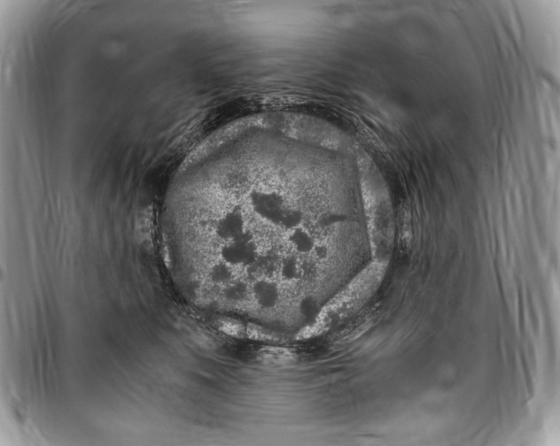 X0000096420519200802141637