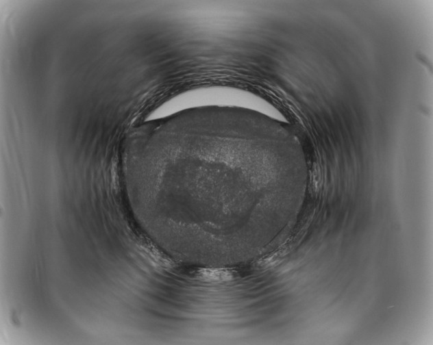 X0000096420520200802141637