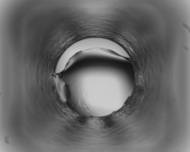 X0000096420521200802141637