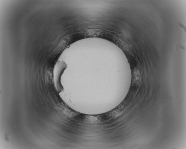 X0000096420522200802141637