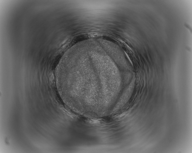 X0000096420523200802141637