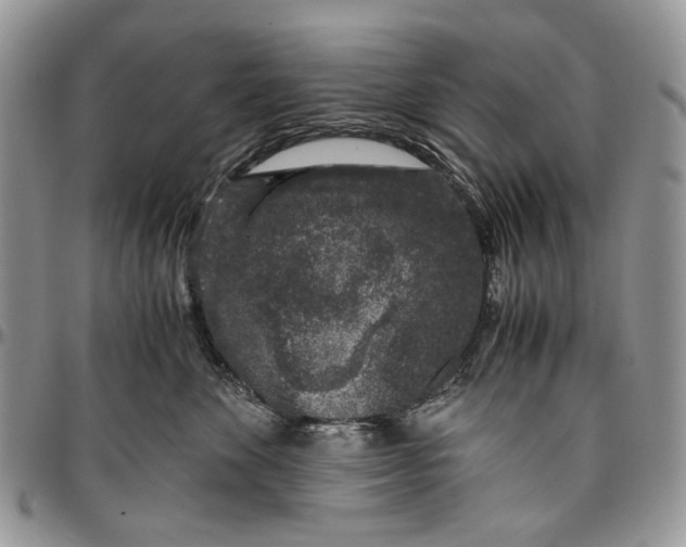 X0000096420524200802141637