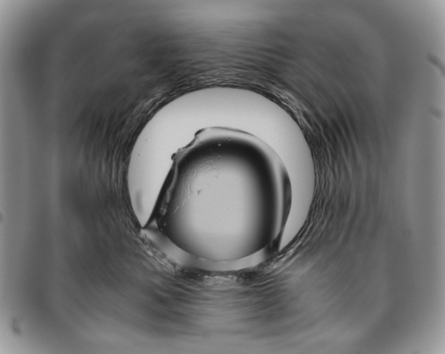 X0000096420525200802141637