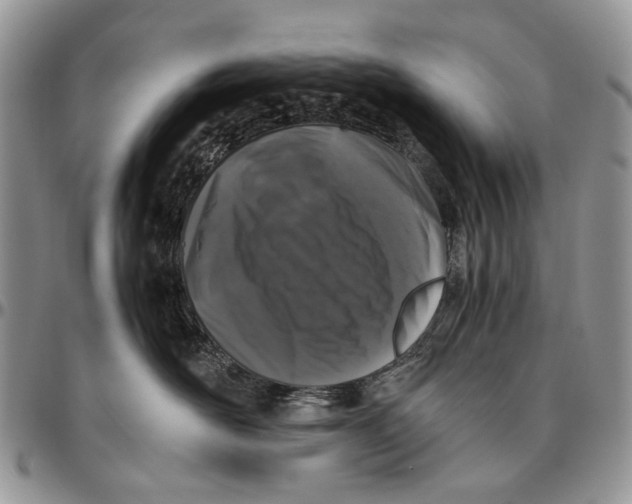 X0000096420526200802141637