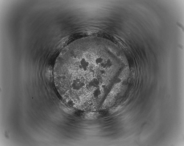 X0000096420527200802141637