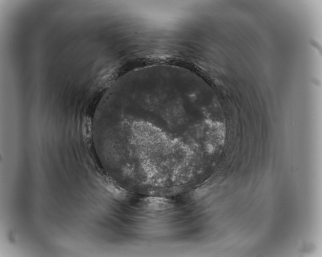 X0000096420528200802141637