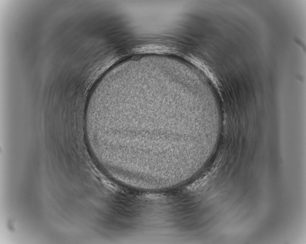 X0000096420529200802141636