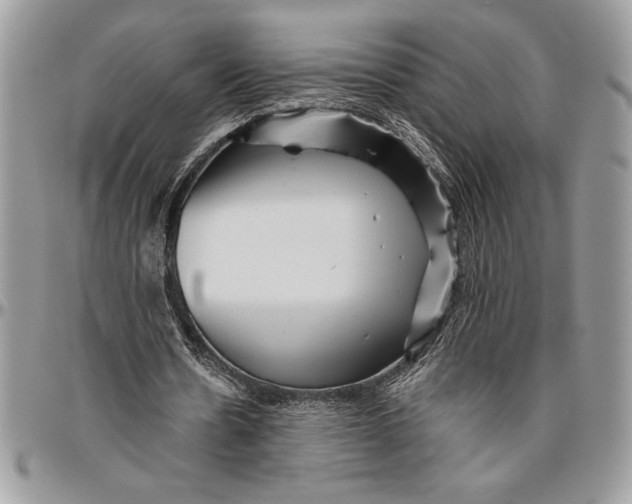 X0000096420530200802141636