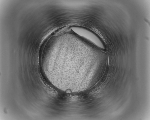 X0000096420531200802141636