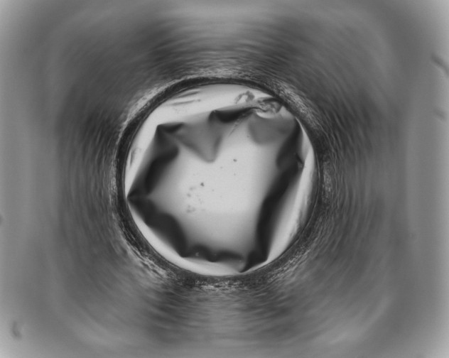 X0000096420532200802141636