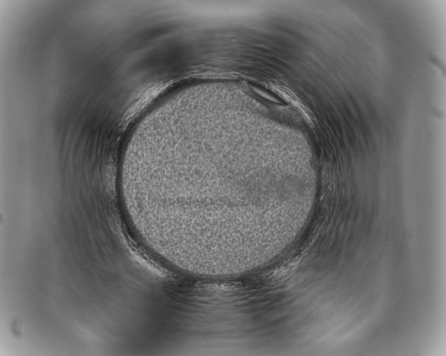 X0000096420533200802141636