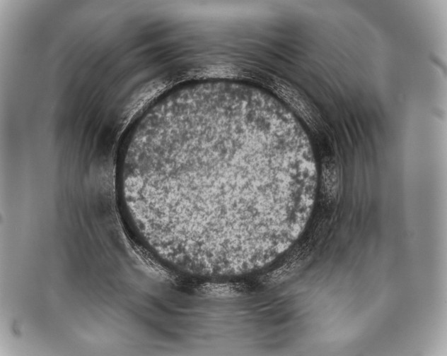 X0000096420534200802141636