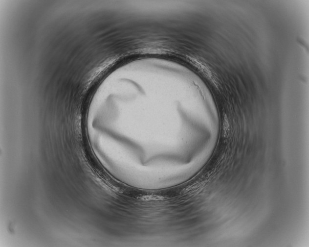 X0000096420535200802141636