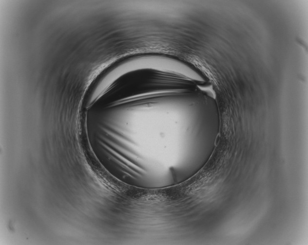 X0000096420536200802141636