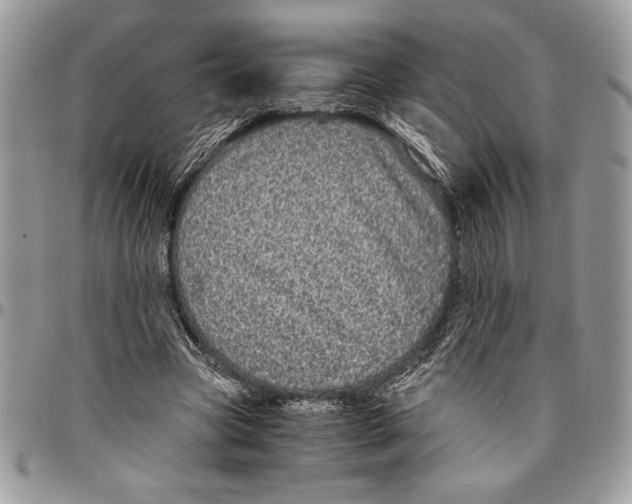 X0000096420537200802141636