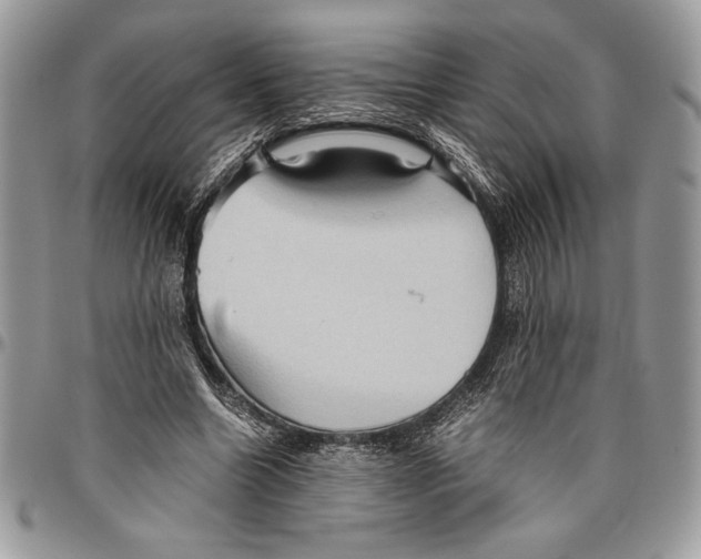 X0000096420538200802141636