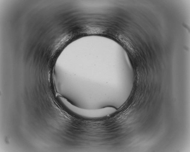 X0000096420539200802141636