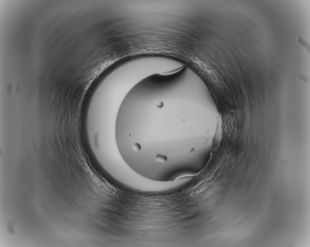 X0000096420540200802141636