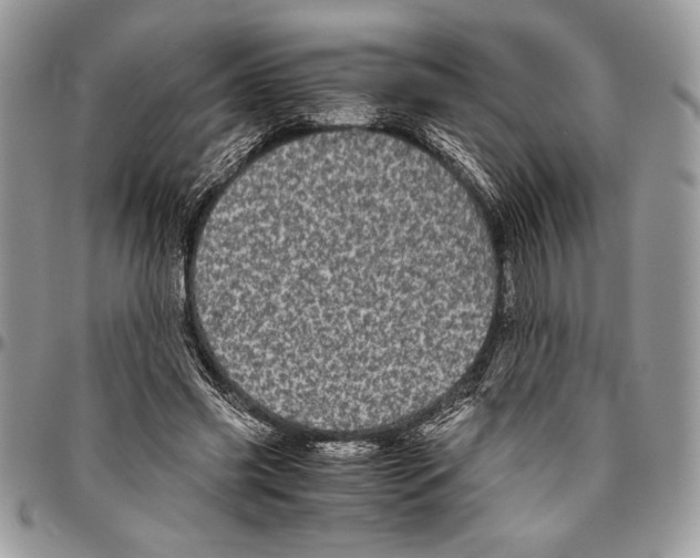 X0000096420541200802141636