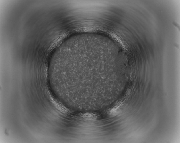 X0000096420542200802141636