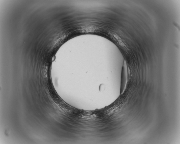 X0000096420543200802141637