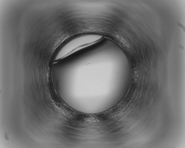 X0000096420544200802141637