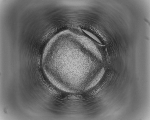 X0000096420545200802141637