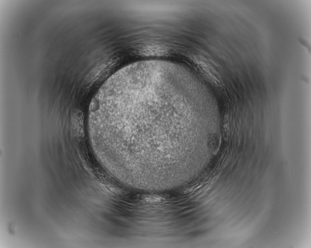 X0000096420547200802141637