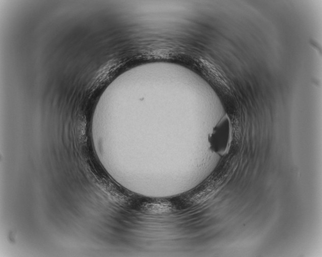 X0000096420548200802141637