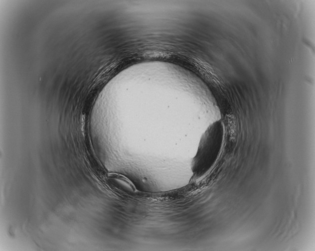 X0000096420550200802141637