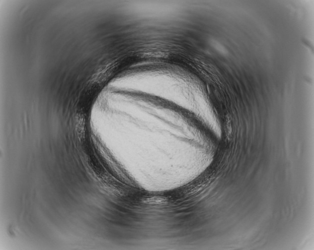 X0000096420551200802141637