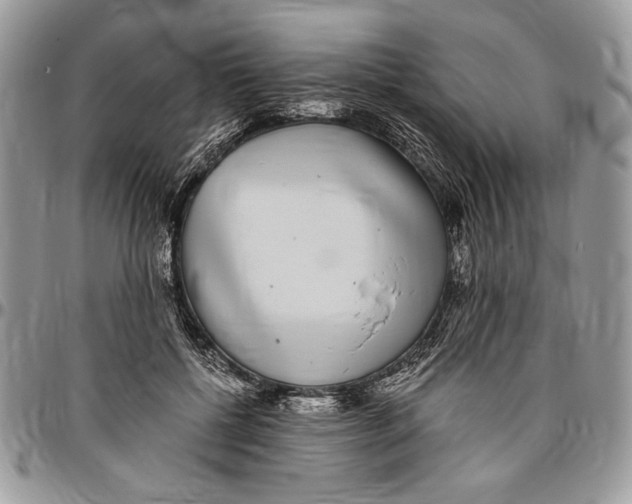 X0000096420552200802141637