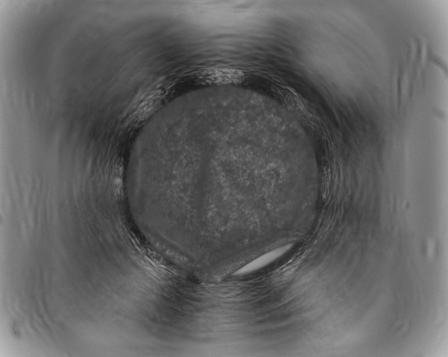 X0000096420553200802141637