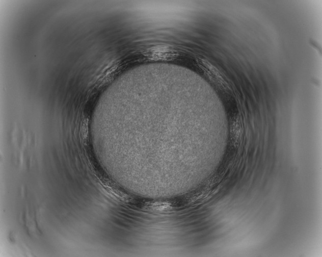 X0000096420554200802141637