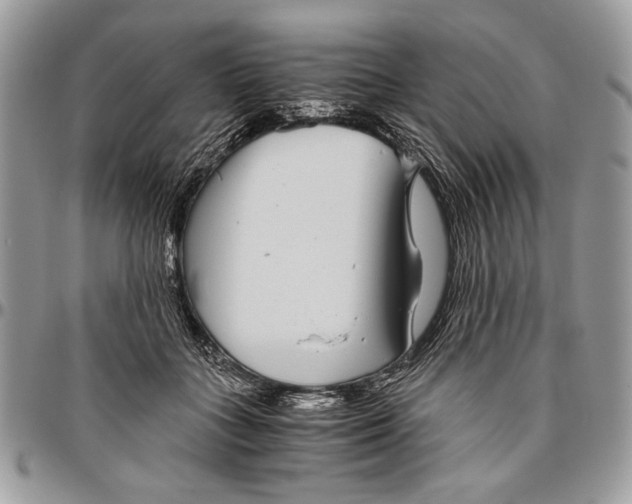 X0000096420555200802141637