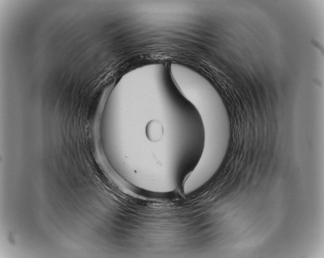 X0000096420556200802141637