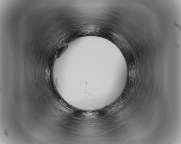 X0000096420558200802141637