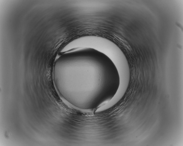 X0000096420560200802141637