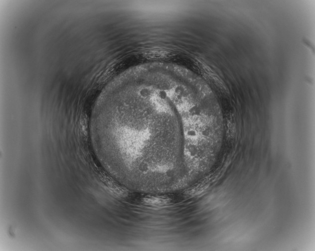 X0000096420561200802141637