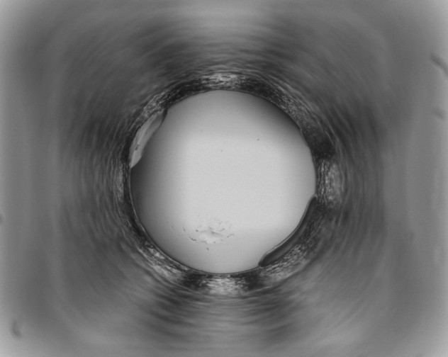 X0000096420562200802141637