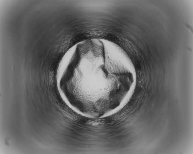 X0000096420563200802141637