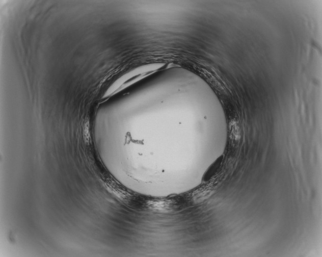 X0000096420564200802141637