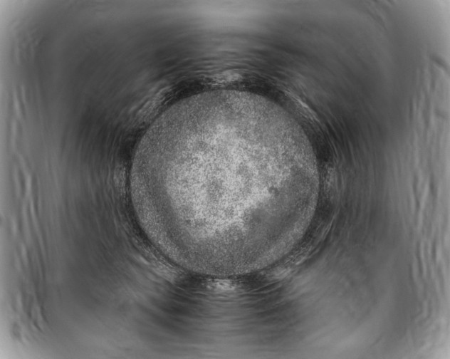 X0000096420565200802141637