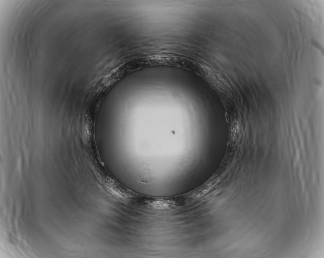 X0000096420566200802141637