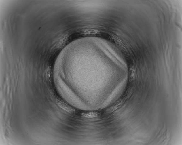 X0000096420567200802141637