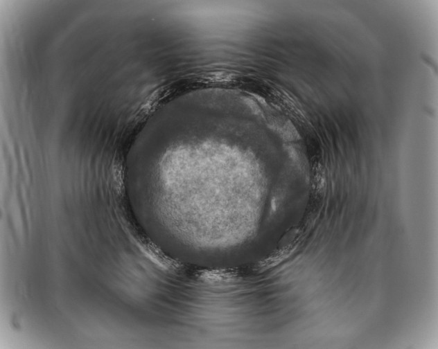 X0000096420568200802141637